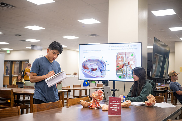 Finals Week - July 2026