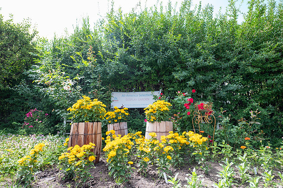 Green House Flowers - July 2026