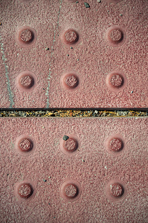 Summer Color Walk - July 2026