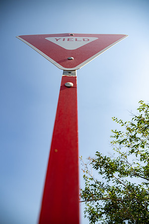 Summer Color Walk - July 2026