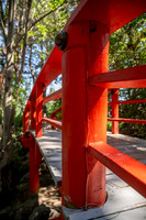 Summer Color Walk - July 2026