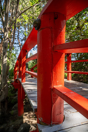 Summer Color Walk - July 2026