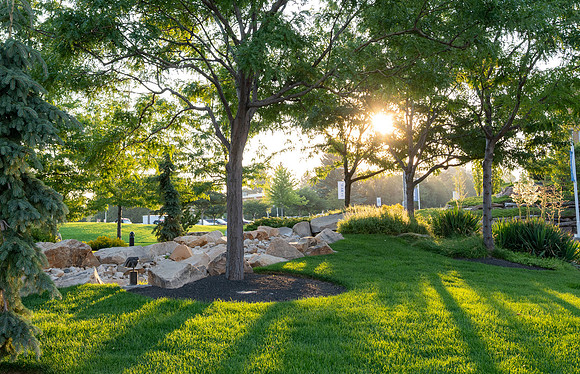 Campus Sunrise - Aug 2026