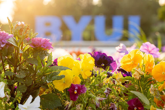 Campus Summer Sunrise - Aug 2026