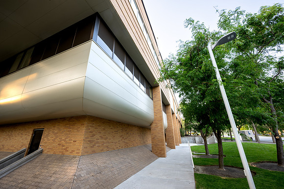 Campus Golden Light - Aug 2026