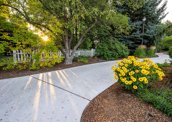 Campus Morning - Aug 2026