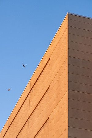 Campus Sunset - Aug 2026