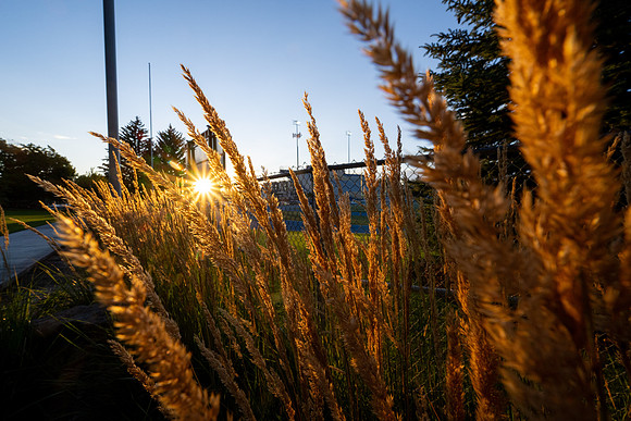 Campus Sunset - Aug 2026