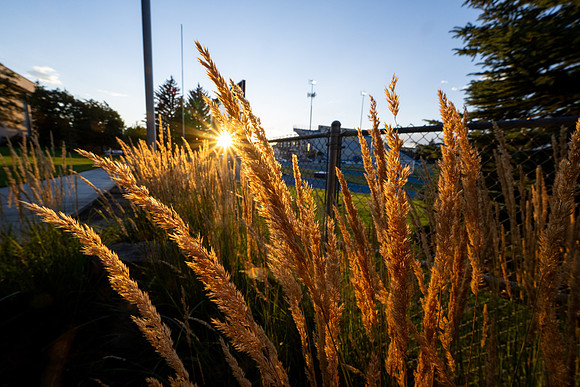 Campus Sunset - Aug 2026