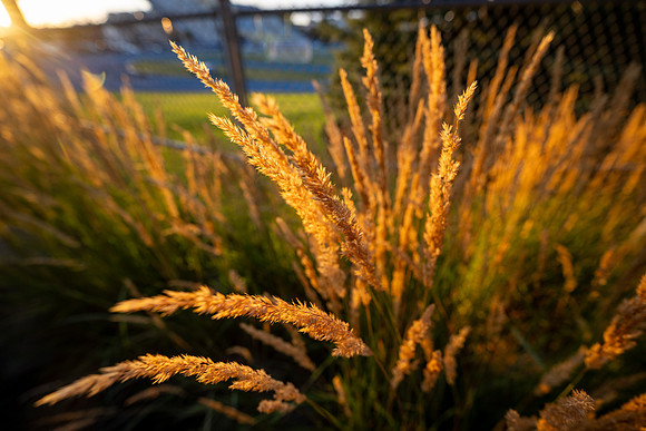 Campus Sunset - Aug 2026