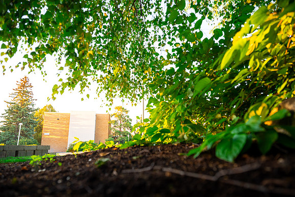Campus Sunset - Aug. 2026