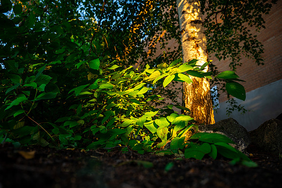 Campus Sunset - Aug. 2026