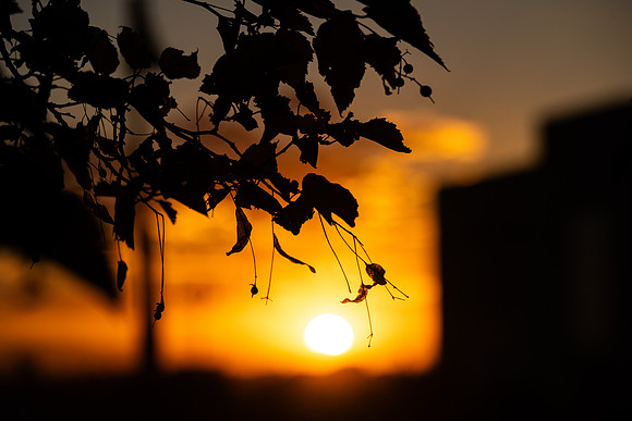 Campus Sunset - Aug. 2026