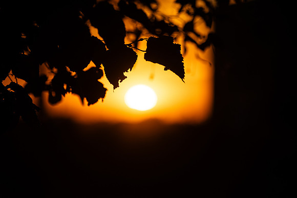 Campus Sunset - Aug. 2026