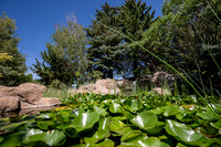 DailyBYUi - Aug 2026