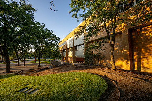 Golden Campus - Aug 2026