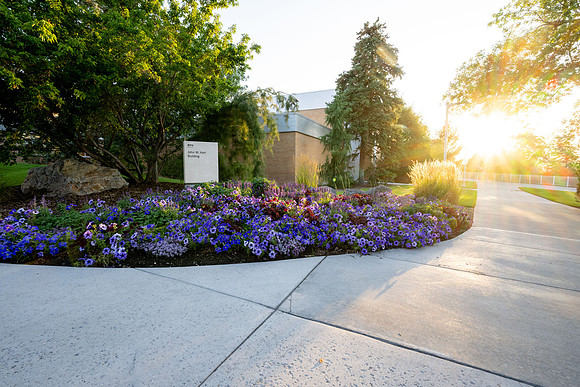 Golden Campus - Aug 2026