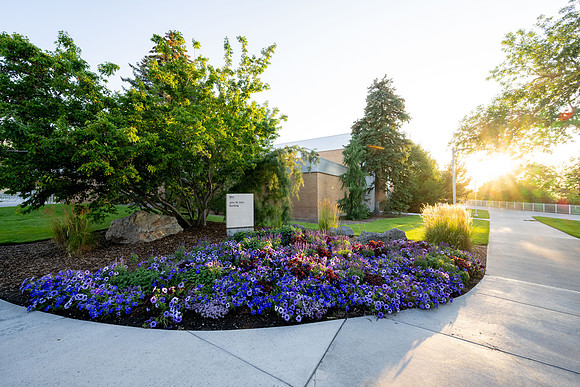 Golden Campus - Aug 2026