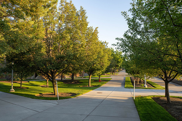 Golden Campus - Aug 2026