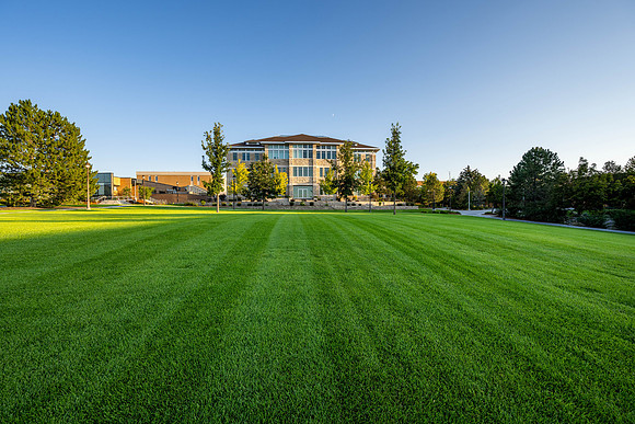 Golden Campus - Aug 2026