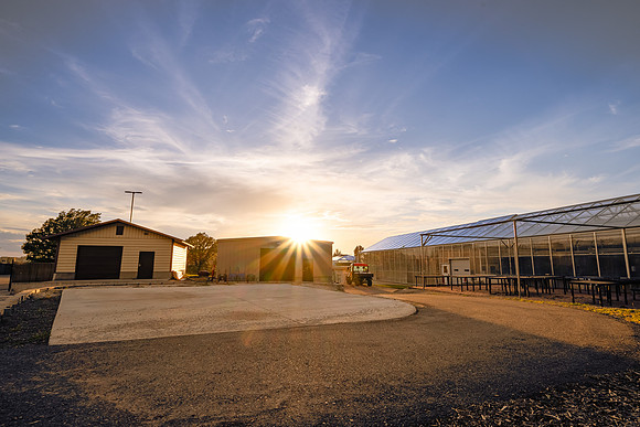 BYUi Sunset -Aug 2026