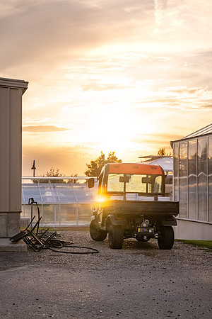 BYUi Sunset -Aug 2026