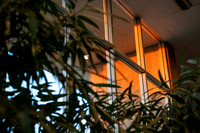 Campus Sunset - Aug 2026
