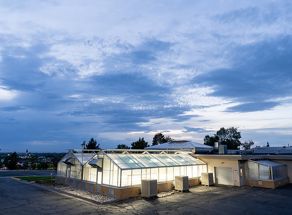 Campus Blue Sunset - Aug 2026