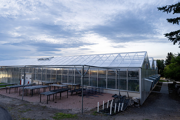 Campus Blue Sunset - Aug 2026