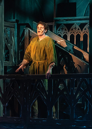Hunchback of Notre