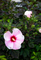 Campus Scenes - Sep 2026