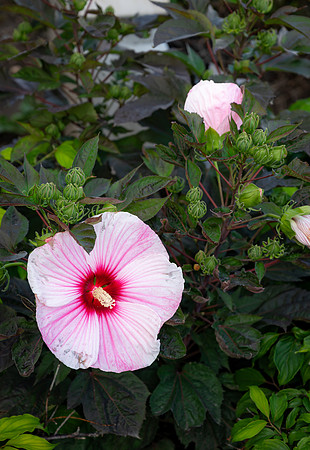 Campus Scenes - Sep 2026