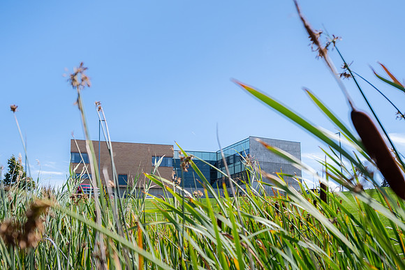 DailyBYUI - Sept 2026