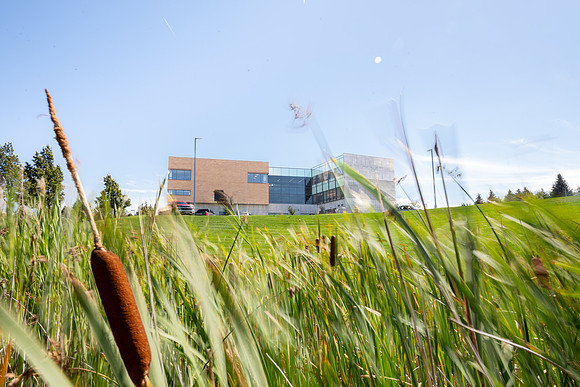DailyBYUI - Sept 2026