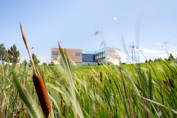 DailyBYUI - Sept 2026