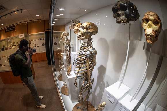 Human Evolution Exhibit - July 2026