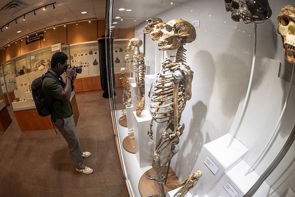 Human Evolution Exhibit - July 2026