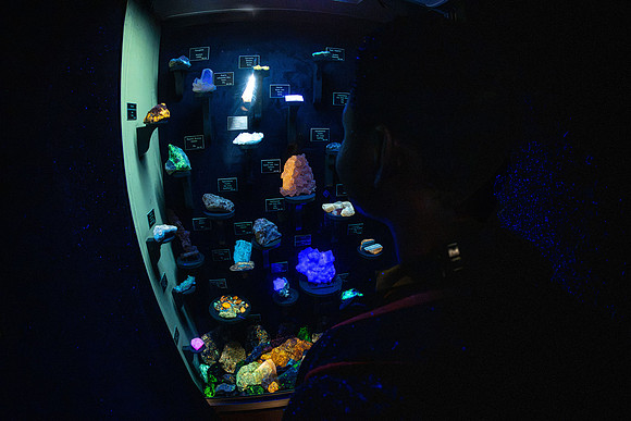 Fossil and Mineral Collection - July 2026