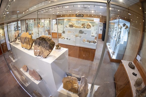 Fossil and Mineral Collection - July 2026