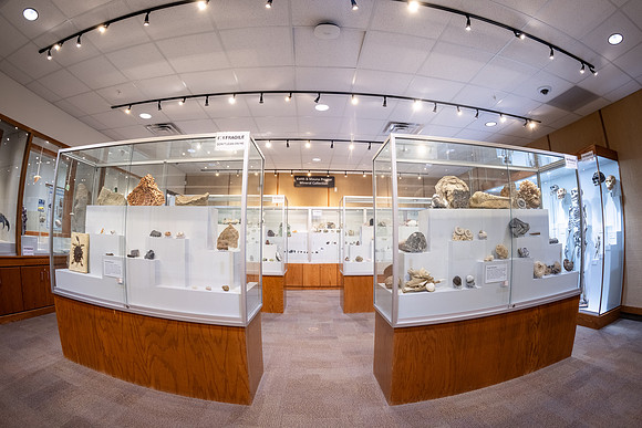 Fossil and Mineral Collection - July 2026