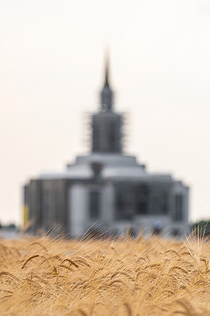 Teton Temple Construction - July 2026