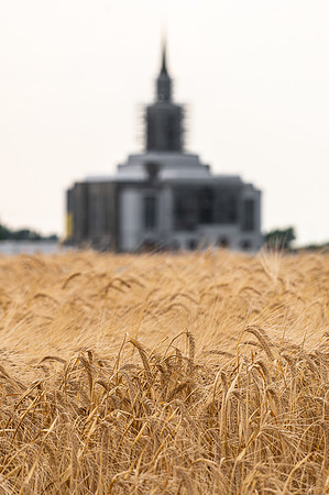 Teton Temple Construction - July 2026
