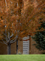 Campus Fall - Oct 2026