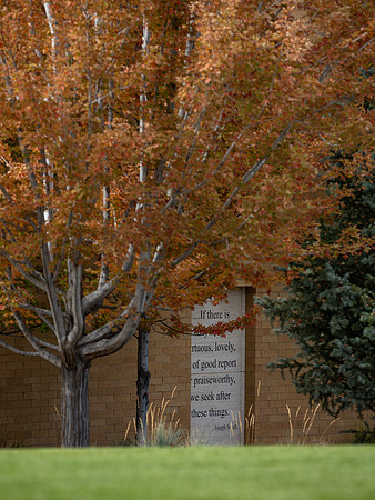Campus Fall - Oct 2026