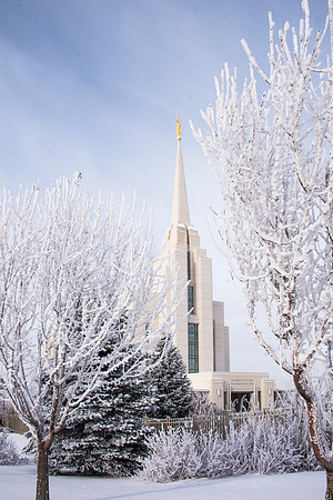 Morning Frost- DEC 2015