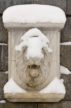 Winter beauty in the Thomas E Ricks Gardens.