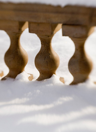 Winter beauty in the Thomas E Ricks Gardens. Images shot with a Lens Baby.