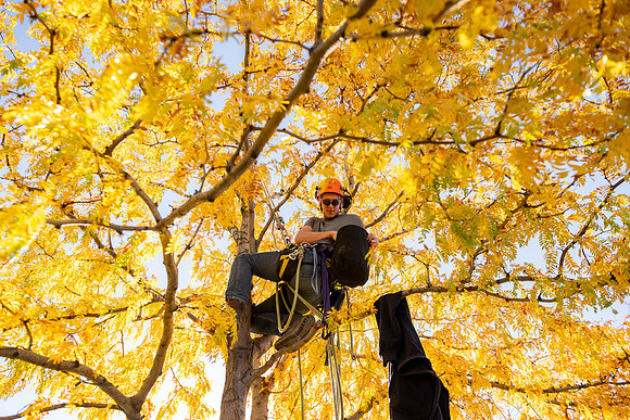 Christmas Light Crew - Oct 2026