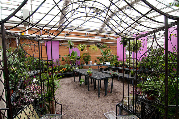 The plant shop in the Benson Building Greenhouse