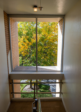 Fall Day - Oct. 2026